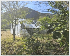  2025Ÿ��2091 ���� ȫõ�� ���� ������ 265      ����(��1)���