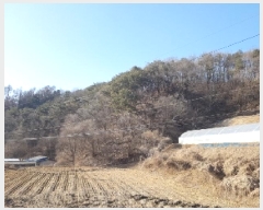  2025Ÿ��50505 ���� ��õ�� ����� ���縮 ��7-17      ����(�Ӿ�)���