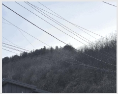  2025Ÿ50510  õ  â̸ 223-28      (Ӿ)