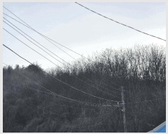  2025Ÿ50510  õ  â̸ 223-28      (Ӿ)