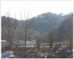  2025Ÿ50510  õ  â̸ 223-28      (Ӿ)