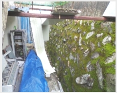  2025Ÿ��50528 ���� ������ �ϸ� ���븮 732-11      �ٸ��ü�,�󰡰��