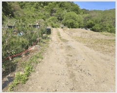  2025Ÿ50557  õ ϸ ۾ϸ 245      (1)