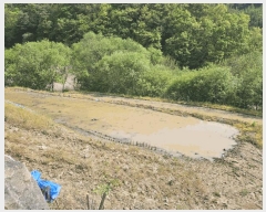  2025Ÿ50557  õ ϸ ۾ϸ 245      (1)