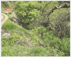  2025Ÿ50557  õ ϸ ۾ϸ 245      (1)