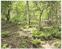  2025Ÿ50557  õ ϸ ۾ϸ 245      (1)