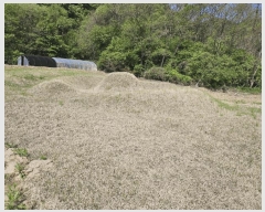  2025Ÿ50557  õ ϸ ۾ϸ 245      (1)