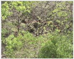  2025Ÿ50557  õ ϸ ۾ϸ 245      (1)