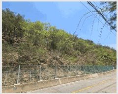  2025Ÿ50597  籸 籸  160-8      (Ӿ)