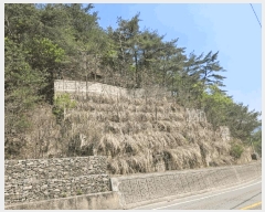  2025Ÿ50597  籸 籸  160-8      (Ӿ)