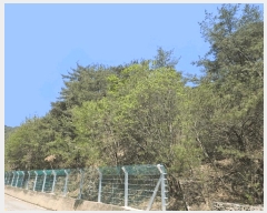  2025Ÿ50597  籸 籸  160-8      (Ӿ)