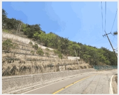  2025Ÿ50597  籸 籸  160-8      (Ӿ)