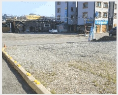  2025Ÿ��50617  �����