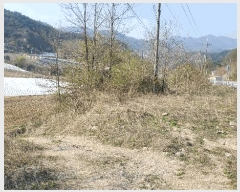  2025Ÿ50633  ȫõ ̸ ϸ 583-4      (1)