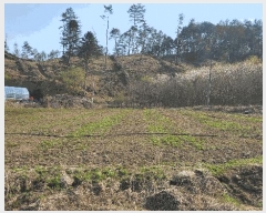  2025Ÿ50633  ȫõ ̸ ϸ 583-4      (1)