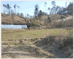  2025Ÿ50633  ȫõ ̸ ϸ 583-4      (1)