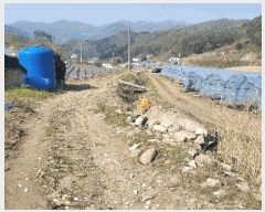  2025Ÿ50633  ȫõ ̸ ϸ 583-4      (1)