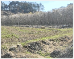  2025Ÿ50633  ȫõ ̸ ϸ 583-4      (1)