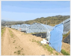  2025Ÿ50633  ȫõ ̸ ϸ 583-4      (1)