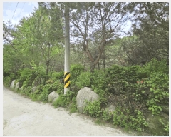  2025Ÿ50644  ȭõ 系  458      ð