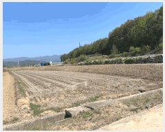  2025Ÿ50656  ȫõ  ϱθ 277-11      ()