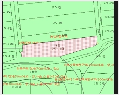  2025Ÿ50656  ȫõ  ϱθ 277-11      ()