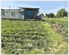  2025Ÿ��50724 ���� ��õ�� ��� 431-33       ����(����)���