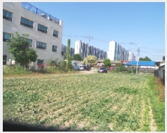  2025Ÿ��50724 ���� ��õ�� ��� 431-33       ����(����)���