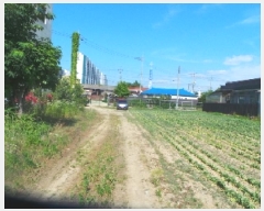  2025Ÿ��50724 ���� ��õ�� ��� 431-33       ����(����)���