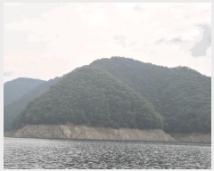  2025Ÿ50748  õ ϻ θ 9-1      (Ӿ)