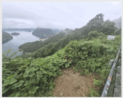  2025Ÿ50748  õ ϻ θ 9-1      (Ӿ)