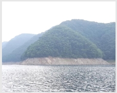  2025Ÿ50748  õ ϻ θ 9-1      (Ӿ)