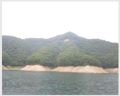  2025Ÿ50748  õ ϻ θ 9-1      (Ӿ)