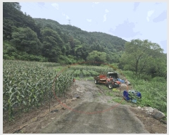  2025Ÿ��50756  �����