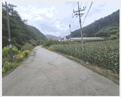  2025Ÿ��50756  �����