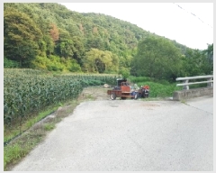  2025Ÿ��50756  �����