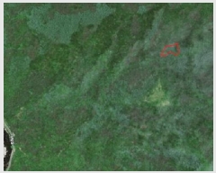  2025Ÿ50776  籸 籸 󹫷渮 88      (Ӿ)