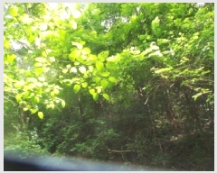  2025Ÿ50776  籸 籸 󹫷渮 88      (Ӿ)