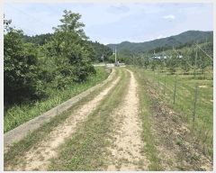  2025Ÿ50792  ȫõ ͹̸ ʸ 260      (Ӿ)