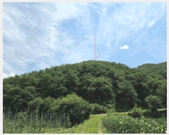  2025Ÿ50792  ȫõ ͹̸ ʸ 260      (Ӿ)