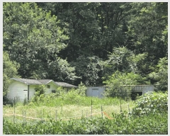  2025Ÿ50792  ȫõ ͹̸ ʸ 260      (Ӿ)