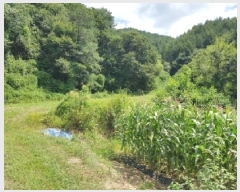  2025Ÿ50792  ȫõ ͹̸ ʸ 260      (Ӿ)