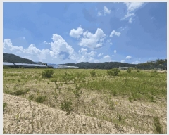  2025Ÿ��50799 ���� ��õ�� ����� ���ڸ� 1382-1      ����(�������)���