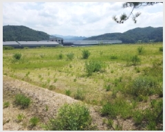  2025Ÿ��50799 ���� ��õ�� ����� ���ڸ� 1382-1      ����(�������)���