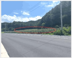  2025Ÿ��50806 ���� ȭõ�� ������ ���̸� 165-3      ����(��1)���