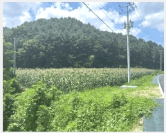  2025Ÿ��50806 ���� ȭõ�� ������ ���̸� 165-3      ����(��1)���