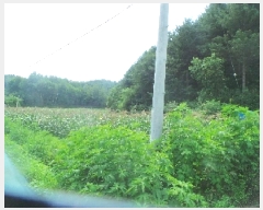  2025Ÿ��50806 ���� ȭõ�� ������ ���̸� 165-3      ����(��1)���