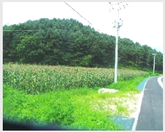  2025Ÿ��50806 ���� ȭõ�� ������ ���̸� 165-3      ����(��1)���