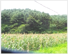  2025Ÿ��50806 ���� ȭõ�� ������ ���̸� 165-3      ����(��1)���