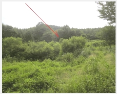  2025Ÿ50808  õ  縮 86      (1)